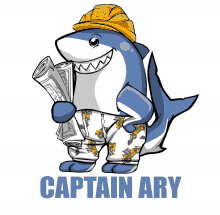 captain ary shark hard hat smile architecture