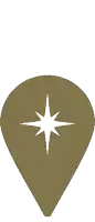 a brown guitar pick with a white star in the middle