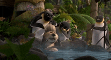 a group of penguins are standing around a dog in the water