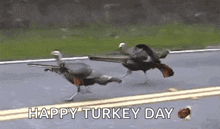 a couple of turkeys running down a road with guns .