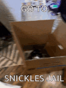 Mewo Snickles GIF - Mewo Snickles Jail GIFs