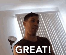 Great Sarcasm GIF - Great Sarcasm Whatever GIFs