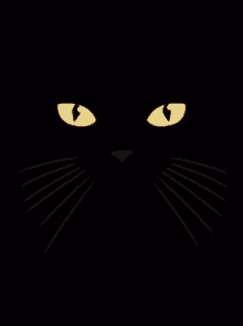 Kitty Cat GIF - Kitty Cat Lick GIFs