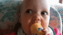 What Wtf GIF - What Wtf Baby GIFs