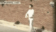 Throwing Eggs At Ist Entertainment GIF - Throwing Eggs At Ist Entertainment GIFs