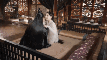 Bed Casal GIF - Bed Casal Mark GIFs