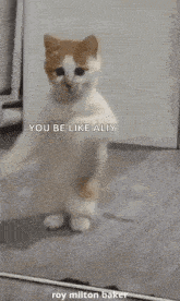 a cat is standing on its hind legs in front of a mirror .