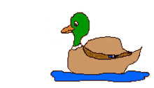 duck quack fast