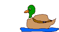 Duck Quack Sticker - Duck Quack Fast Stickers
