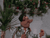 a puppet is giving a thumbs up in front of a wall of potted plants