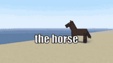 horse cool funny minecraft stevo