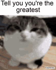 Enemy Tell You Youre The Greatest GIF - Enemy Tell You Youre The Greatest GIFs