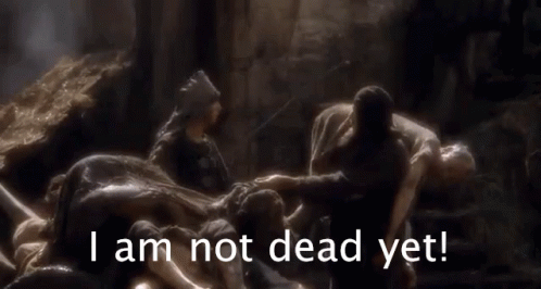 Holy Grail GIF - Holy Grail Montypython GIFs