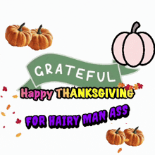 a sign that says " grateful happy thanksgiving for hairy man ass " with pumpkins and leaves