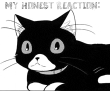 My Honest Reaction Morgana P5 GIF