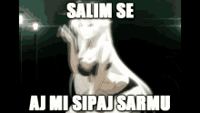 Sarma Srbija GIF - Sarma Srbija Serbia GIFs