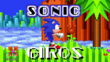 Davuuwart Sonic GIF - Davuuwart Sonic Sonic Giros GIFs
