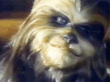 Star Wars Holiday Special GIF - Star Wars Holiday Special Malla GIFs