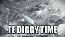 a toothbrush is floating in a pool of water with the words `` te diggy time '' written on it .