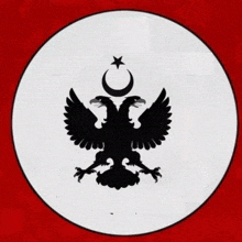 Türkist Prusya Federasyonu Prussia GIF - Türkist Prusya Federasyonu Prussia Beyaz Rusya GIFs