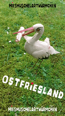 Ostfriesland Friesenjung GIF - Ostfriesland Friesenjung Friesland GIFs