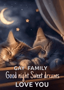 a couple of cats sleeping on a window sill with the words " gay family good night sweet dreams love you "