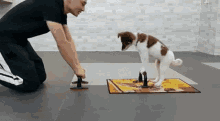Flex Dog GIF - Flex Dog Pet GIFs