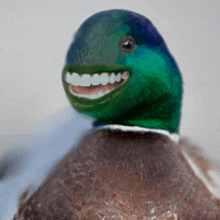 a duck with a green head and white teeth