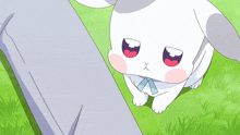 a white rabbit with a blue bow on its neck is looking down