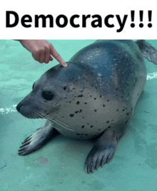 a seal is being touched by a person with the words democracy below it
