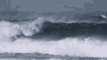 Wind Surfing Surf GIF - Wind Surfing Surf Giant Wave GIFs