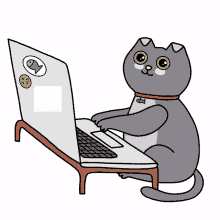 cat computer typing short working