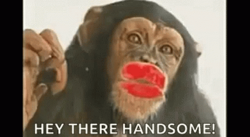 Hey There Handsome Hi Handsome GIF - Hey There Handsome Hi Handsome Hello  Handsome - Discover & Share GIFs