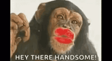 Hey There Handsome Hi Handsome GIF - Hey There Handsome Hi Handsome Hello Handsome GIFs