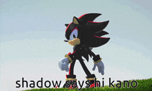 Kano Shadow The Hedgehog GIF - Kano Shadow The Hedgehog Gif GIFs