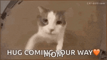a cat is looking out of a window with the words `` hug coming your way '' written on it .