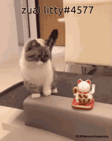 Cat Funny GIF - Cat Funny Silly GIFs