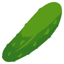 food cucumber
