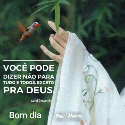 Bom Dia Good Morning GIF - Bom Dia Good Morning Bird - Discover & Share GIFs