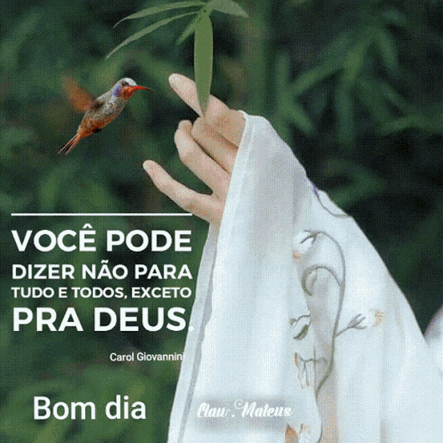 Bom Dia Good Morning GIF - Bom Dia Good Morning Bird - Discover & Share GIFs