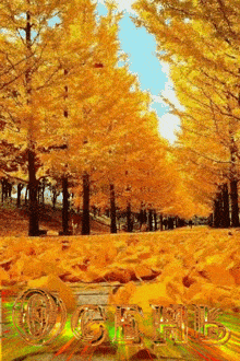 a bunch of trees with yellow leaves and the word autumn in the background