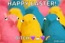 a bunch of stuffed easter eggs are standing next to each other with the words `` happy easter bitch '' .