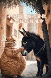 a cat petting a donkey 's nose with chinese writing behind it