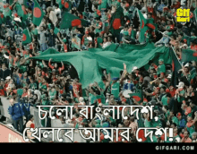Bangladesh Cricket Gifgari GIF