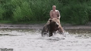 Putin Bear GIF - Putin Bear Vladimir Putin GIFs
