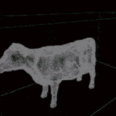 Arodynamics Of A Cow Swagger GIF - Arodynamics Of A Cow Swagger GIFs