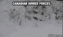 Canadian Armed Forces GIF - Canadian Armed Forces GIFs