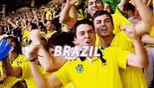 Brazilhexa Brazil GIF - Brazilhexa Brazil Cheers GIFs