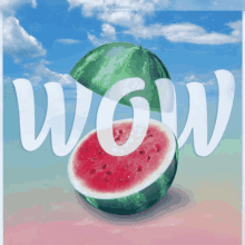 Wow Watermelon GIF