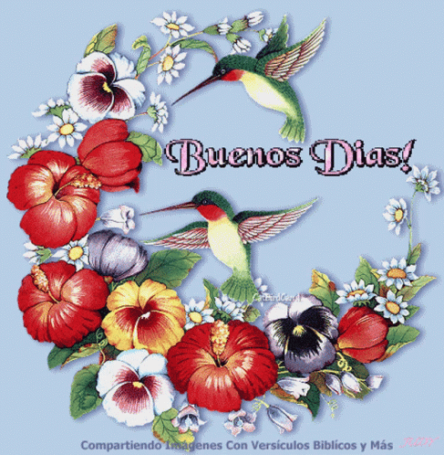 Buenos Dias Flowers GIF - Buenos Dias Flowers Birds - Discover & Share GIFs